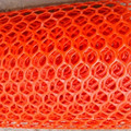 Top Quality Plastic Flat Mesh/Best Price Plastic Flat Mesh/Plastic Flat Mesh